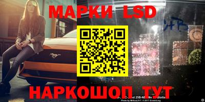 Альфа ПВП Краснознаменск