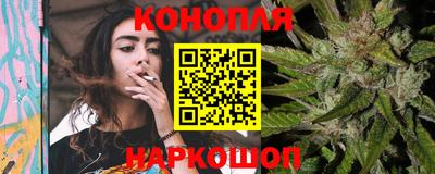 Альфа ПВП Краснознаменск