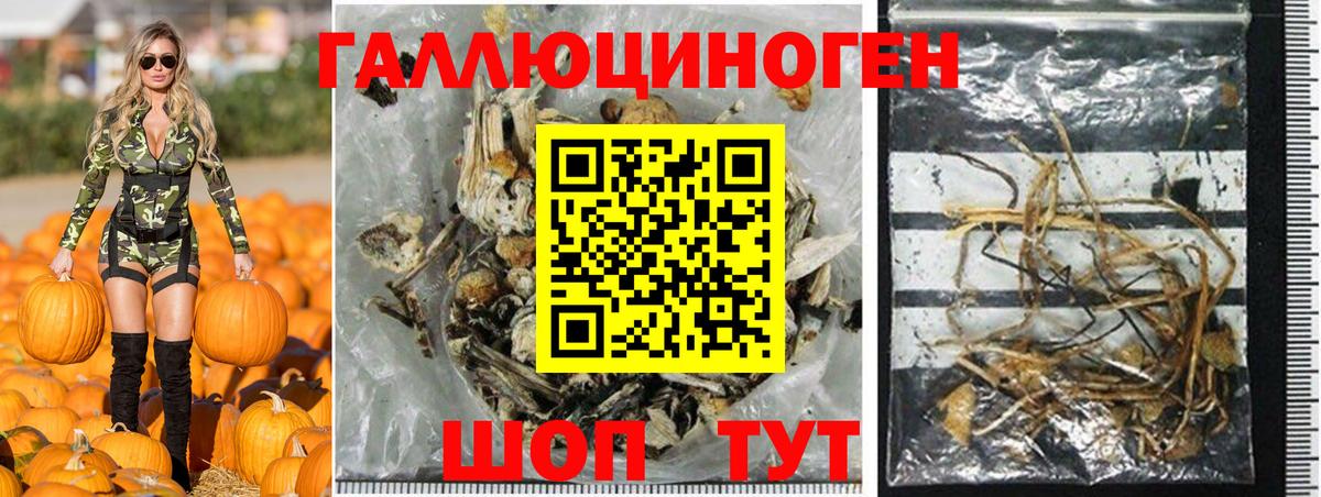 Псилоцибиновые грибы мухоморы Егорьевск