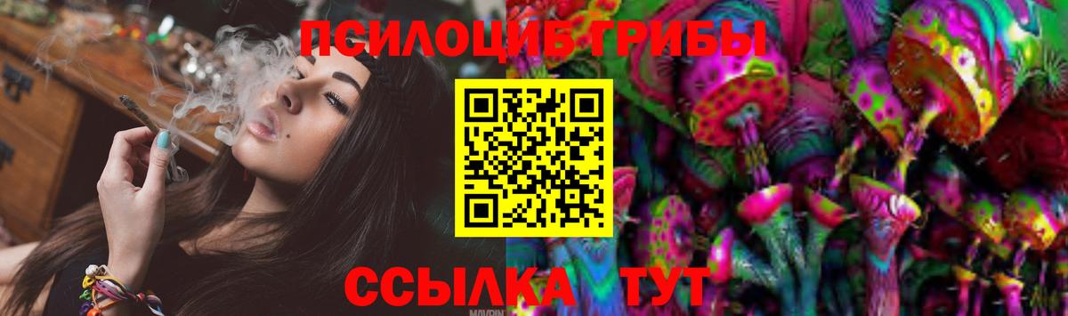 сколько стоит  Псилоцибиновые грибы мухоморы  Вход с VPN  Егорьевск 