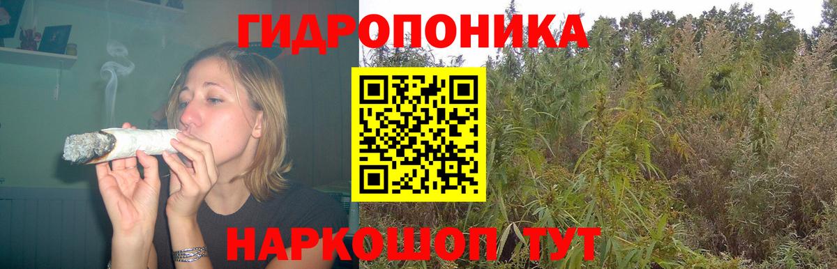 Бошки марихуана конопля  Вход с VPN  Канабис планчик  МАРИХУАНА VHQ  Егорьевск 